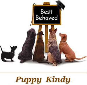 /i//Kindy_Logo_WEBSITE_copy.jpg